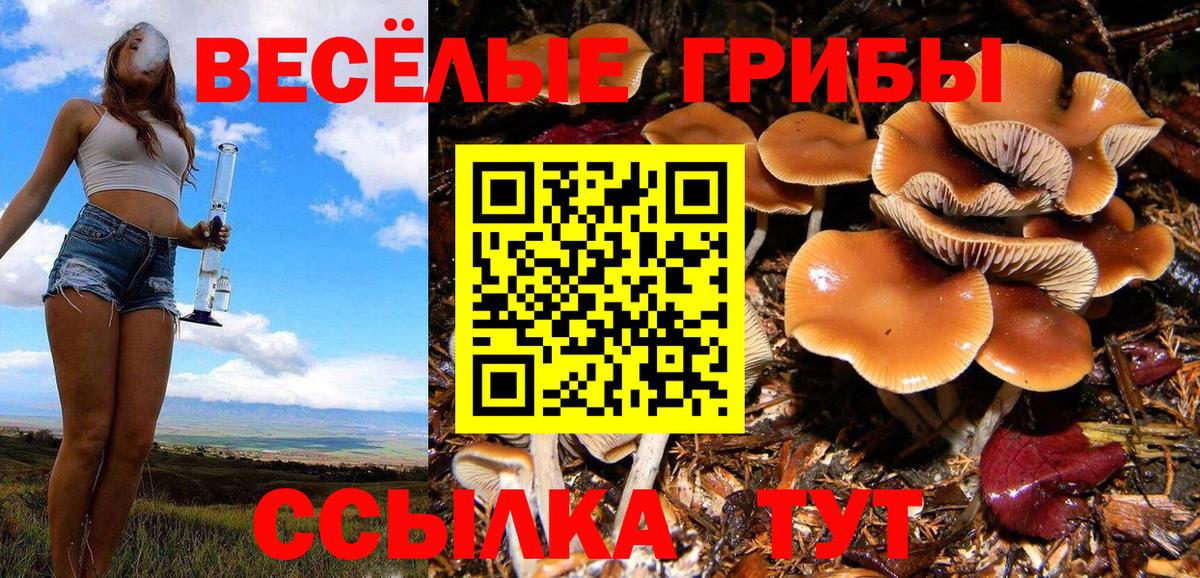 Псилоцибиновые грибы Magic Shrooms Дмитров