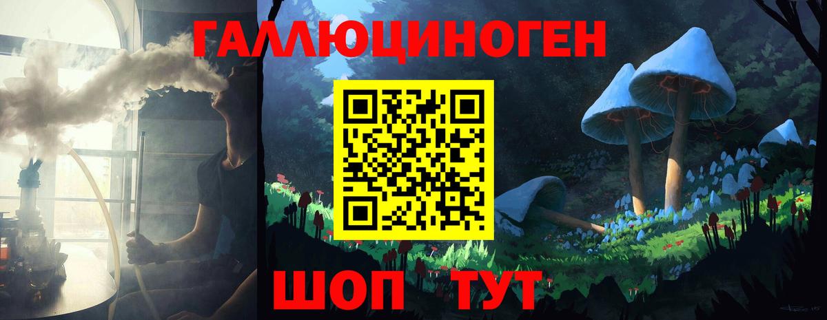 Дмитров  Псилоцибиновые грибы Psilocybe  Псилоцибиновые грибы Psilocybine cubensis  Вход с VPN 
