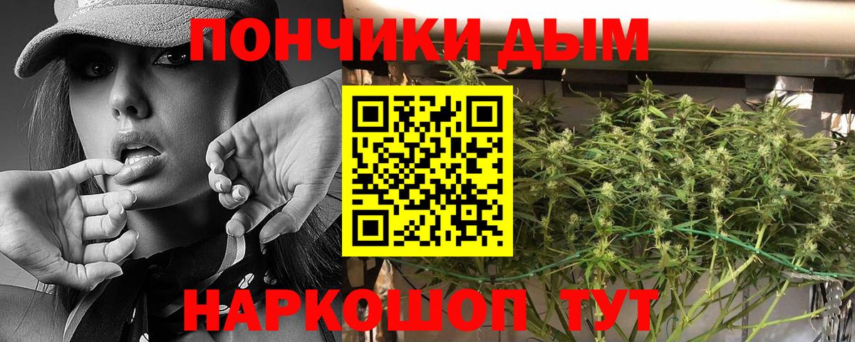 Бошки Шишки Amnesia Дмитров